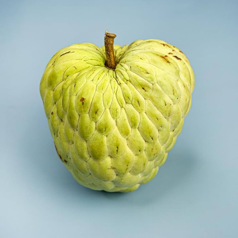 Custard apple tree seeds from Evergrowseeds, tropical sweet fruiting variety, displayed in a close-up image.