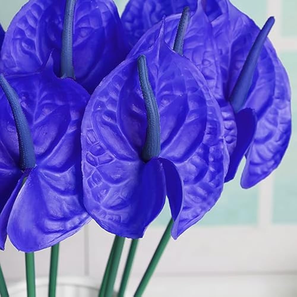 Blue Anthurium Perennial Flower Seeds for Planting Fragrant Blossoms Heirloom & GMO Free Seeds for Home Garden  Sale