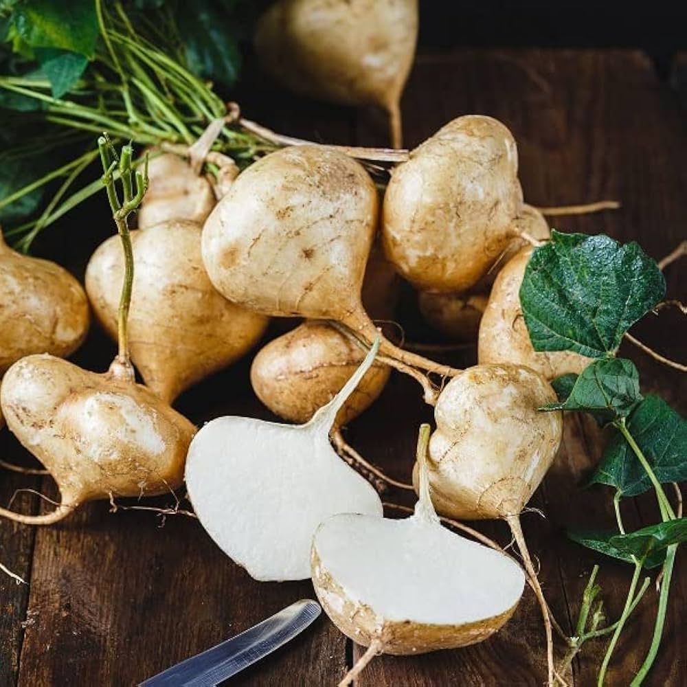Jicama Vegetable Seeds for Planting