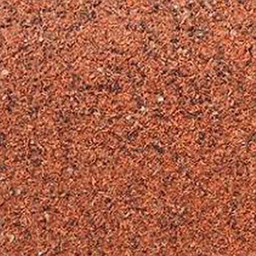 Banyan Tree Seeds For Majestic Growth Planting Plant Seeds