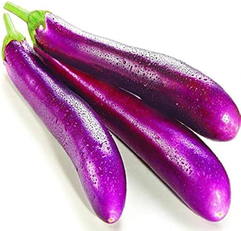 Amethyst Eggplant Seeds for Planting Solanum melongena for vegetable beds and balcony gardens
