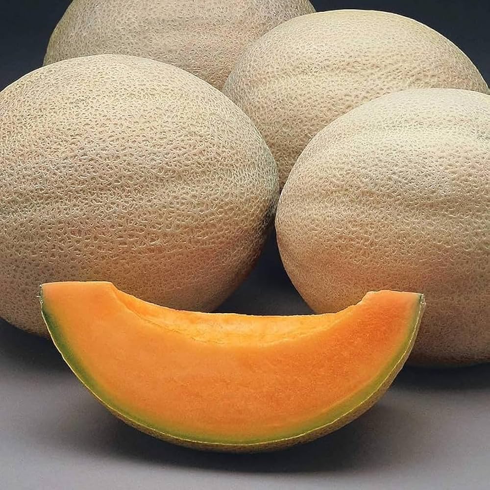 Brown Muskmelon Seeds for Planting Fruit Seeds for Home Gardens, Raised Beds & Outdoor Growing