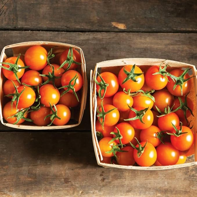 Papadennis Sweet Tomato Planting Seeds For Rich Flavor Vegetable Seeds