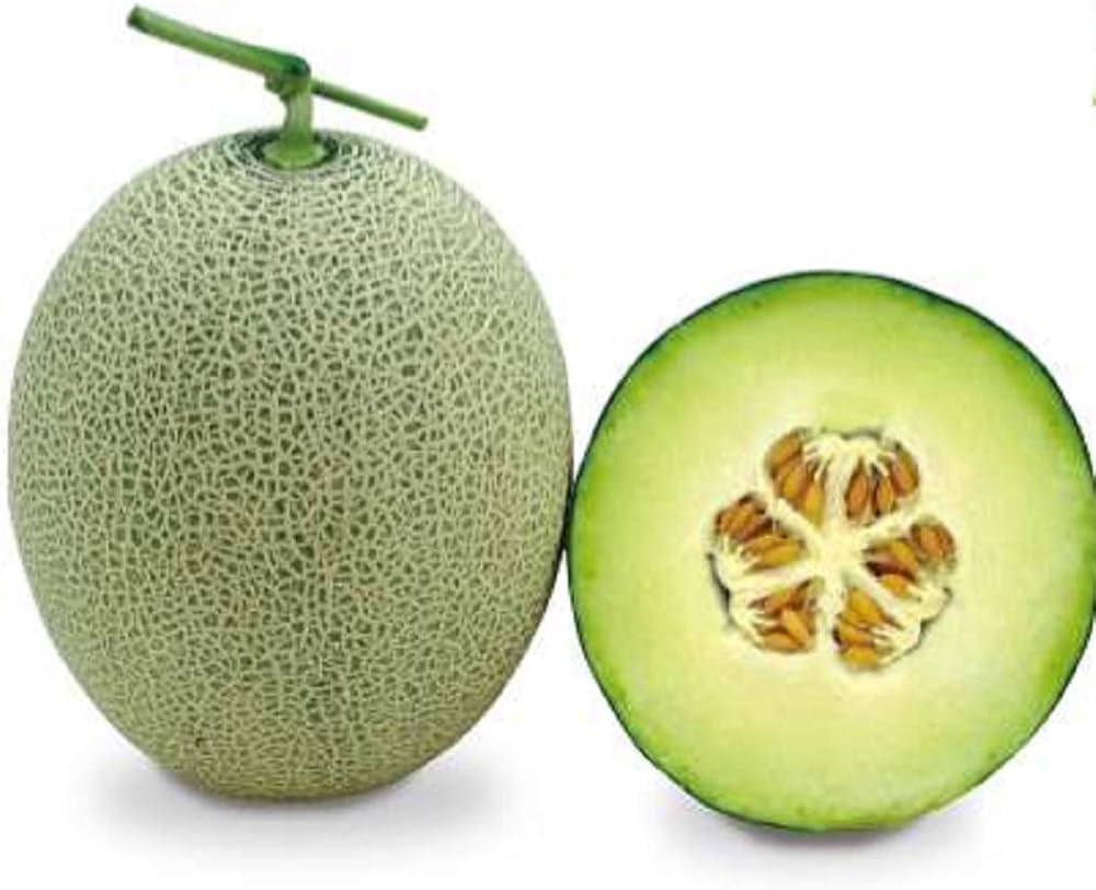 MuskMelon Cucumis melo Fruit Seeds for Planting