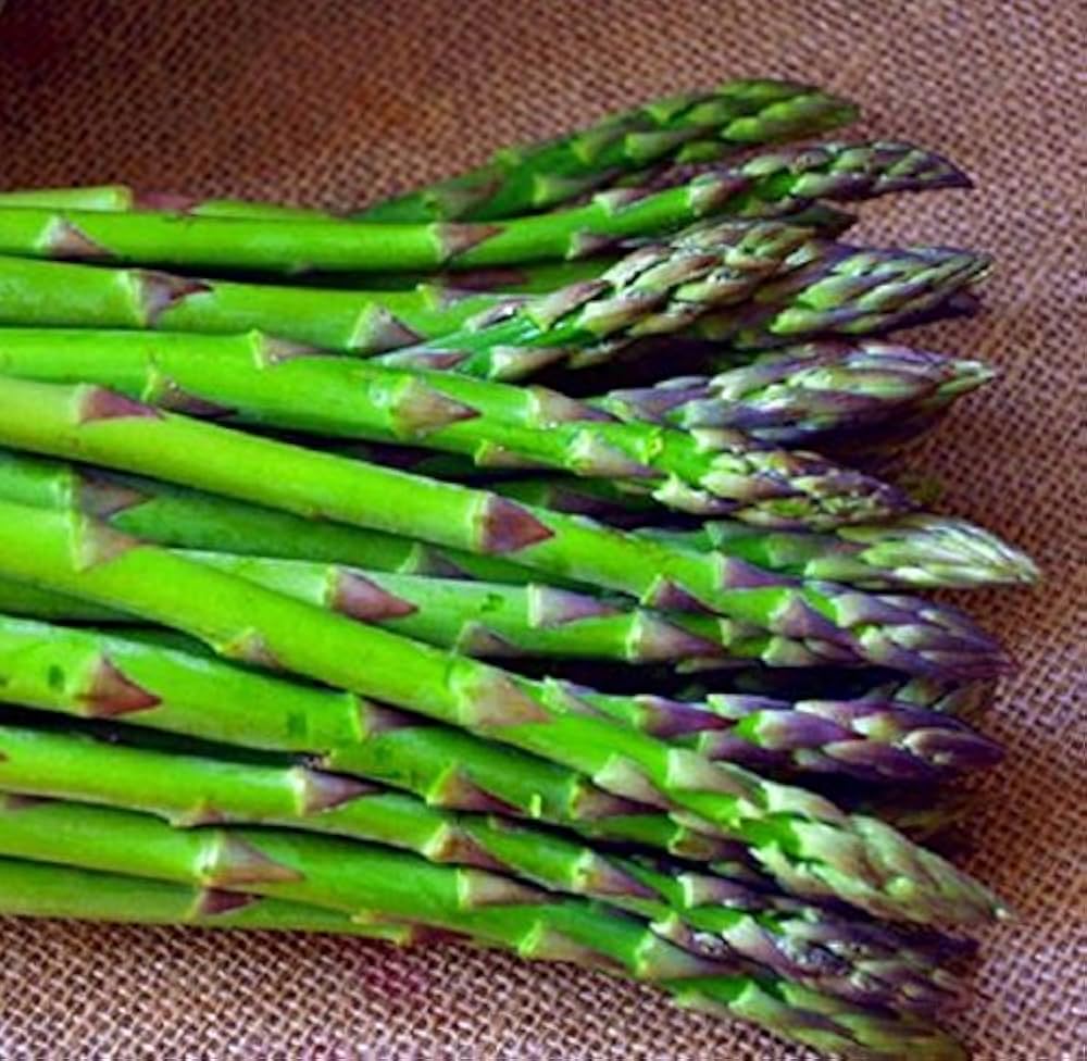 Green Asparagus Vegetable Seeds for Home Planting