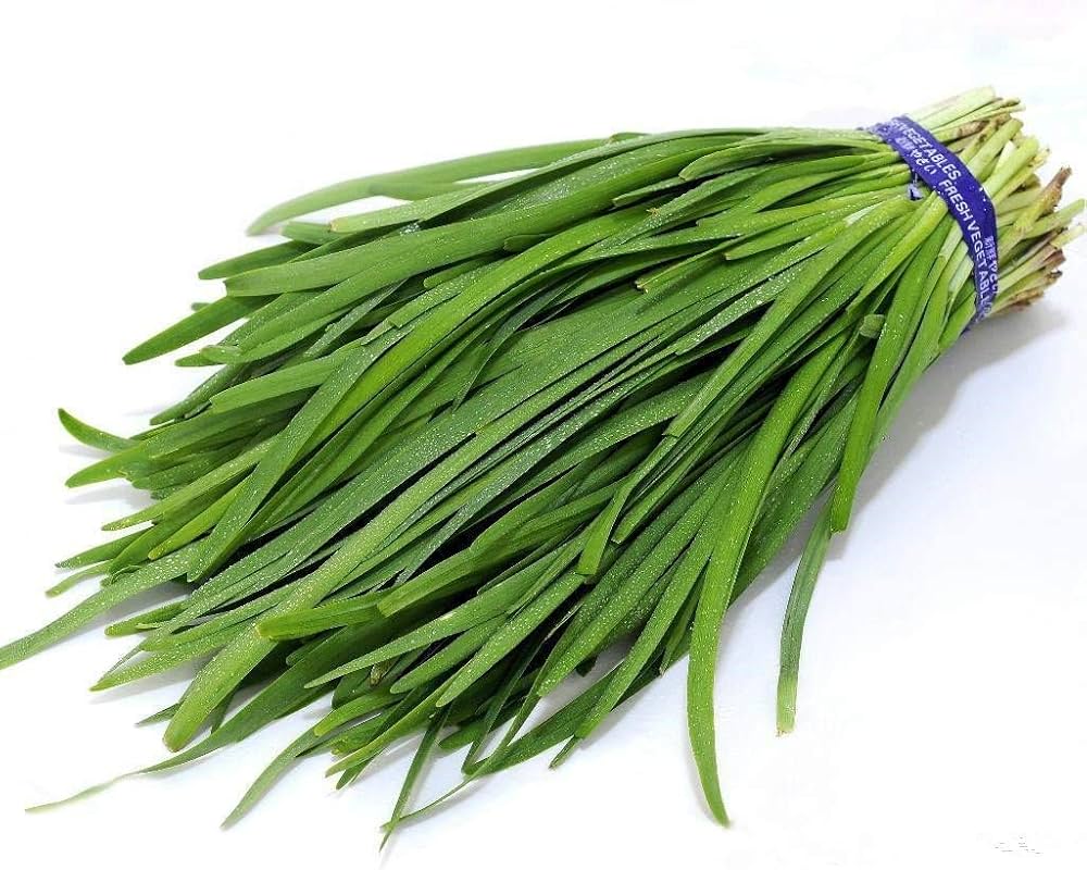 Chinese Chive Seeds for Aromatic Herb Plants