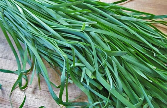 Garlic Chive Allium tuberosum Seeds for Planting in Herb Garden & Urban Garden