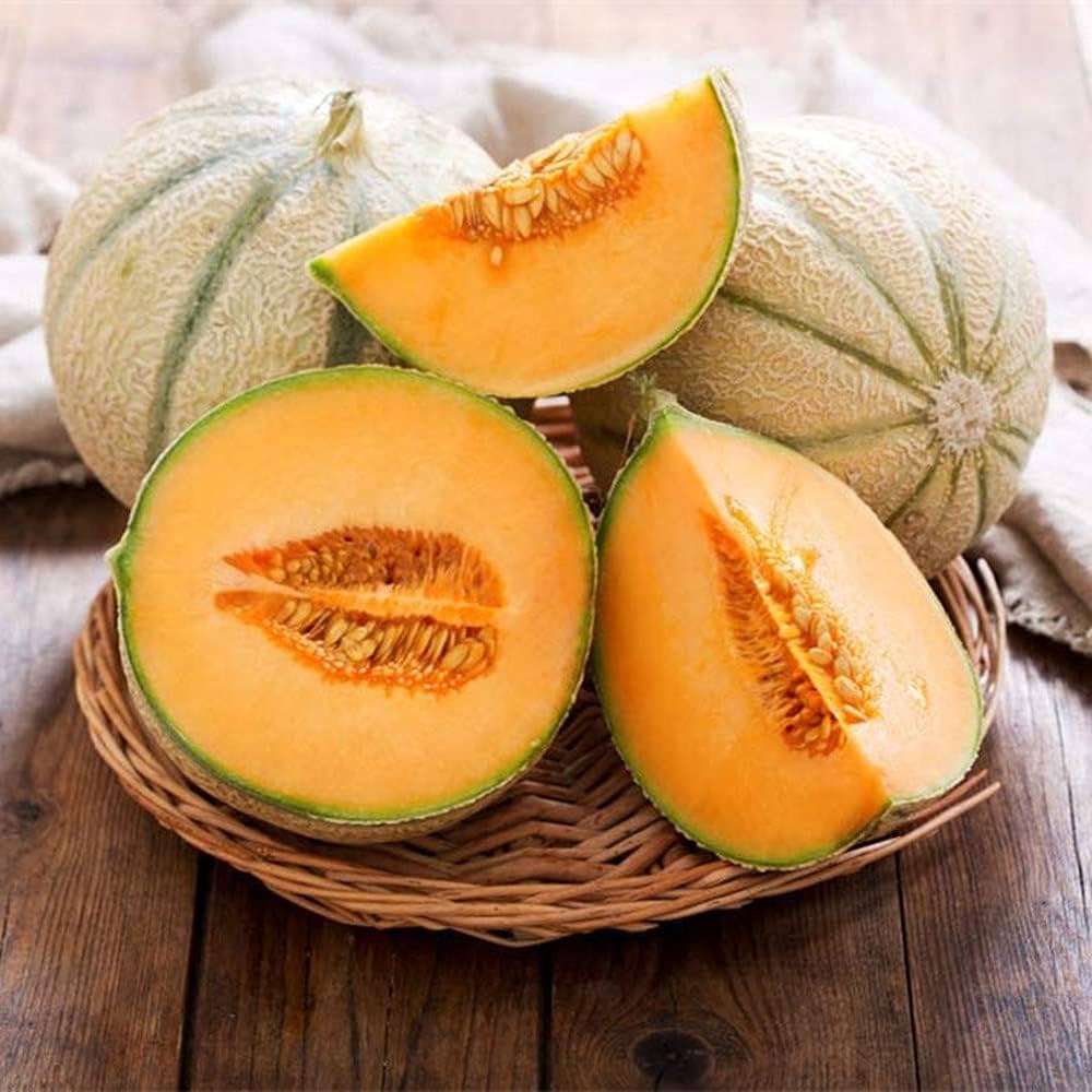 Orange Cantaloupe Melon Seeds for Planting  Grow Delicious Homegrown Fruit