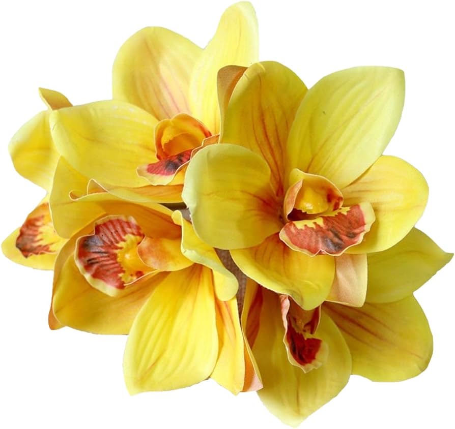 Cymbidium Orchid Seeds for Planting - Perfect for Home Garden & Flower Bed