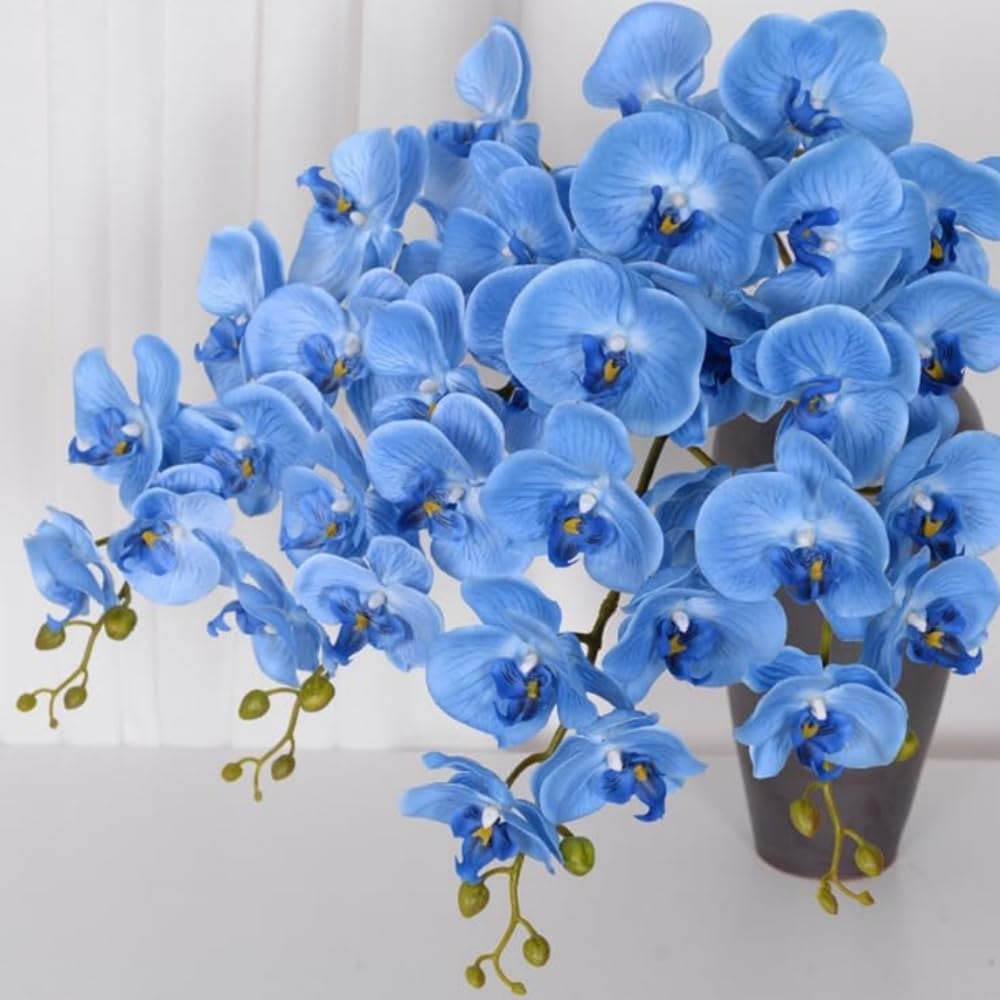 Sky Blue Orchid Flower seeds for Planting - Vibrant Colors, Heirloom & GMO Free Seeds for Home Garden