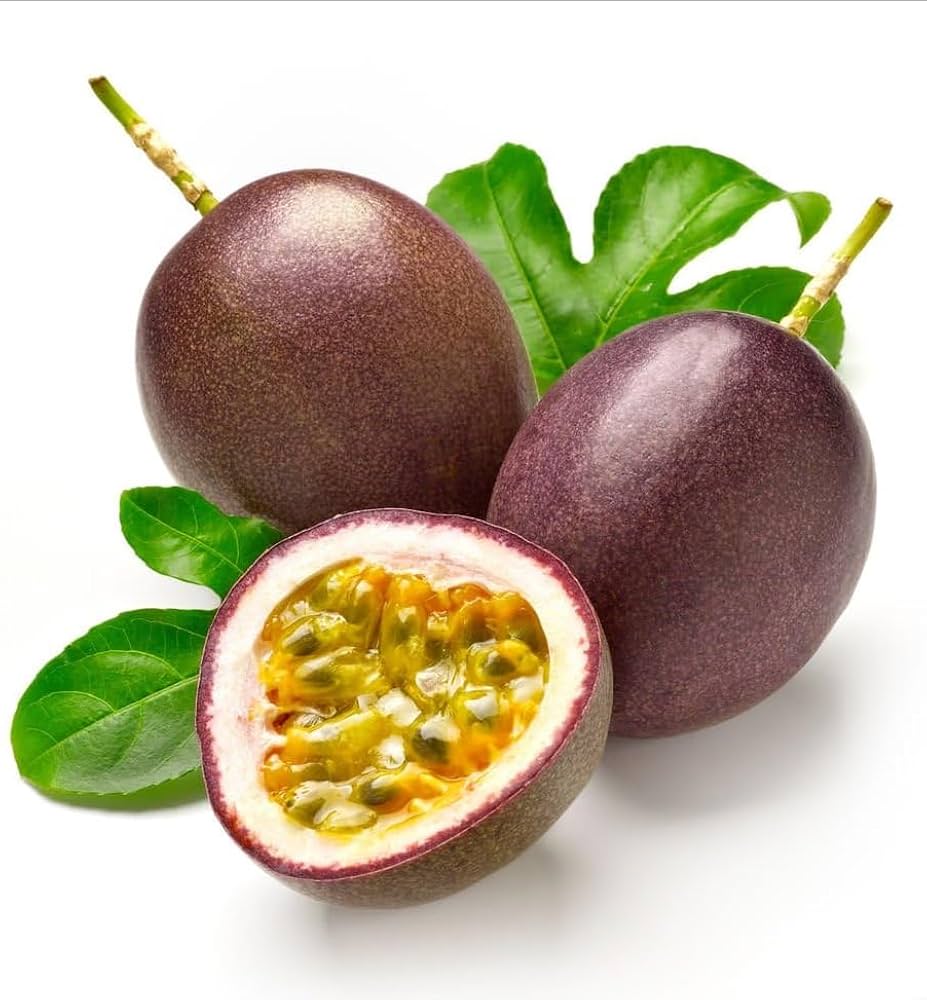 Plant Dark Purple Passion Fruit Seeds  Premium Seeds for Gardening