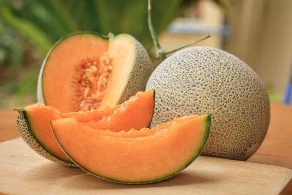 MuskMelon Cucumis melo Seeds for Planting - Great for Vegetable Patch & Home Garden