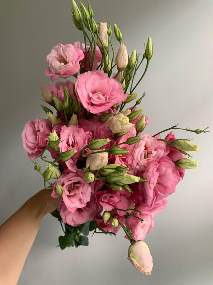 Lisianthus Flower Eustoma grandiflorum Seeds for Planting home garden flower bed
