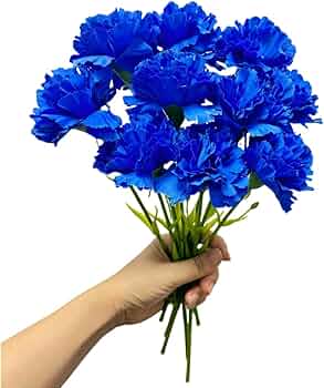 Dianthus Caryophyllus Seeds - Dark Blue Flower Seeds for Planting