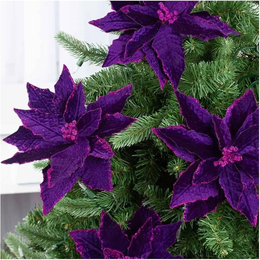 Purple Poinsettia Flower seeds for Planting - Long Bloom Season, Heirloom & GMO Free Seeds for Home Garden