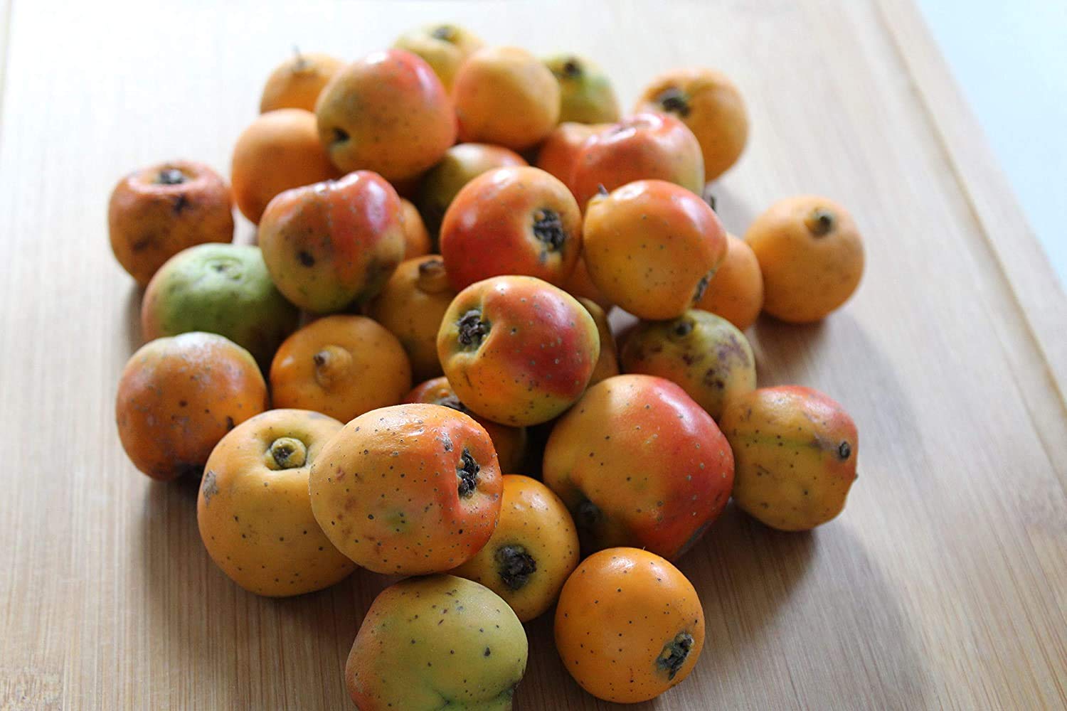 Tejocote Manzanita Seeds for Planting