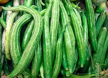 Trichosanthes Cucumerina Seeds for Vegetable Planting