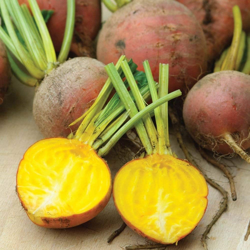 Golden Beet Detroit Seeds for Planting Vegetable Patch Organic Farming