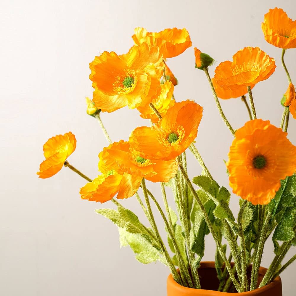 DIY Vase Flower Mix Various spp. Seeds for Planting - Perfect for Home Garden & Flower Bed