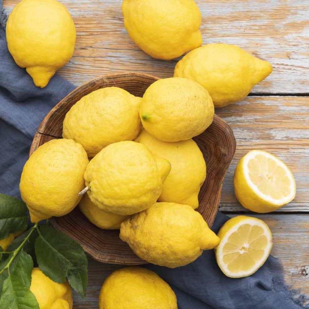EvergrowSeeds Meyer Lemon citrus limon flower seeds for planting in garden, 20 pack of lemon tree seeds with vibrant yellow lemons on the label