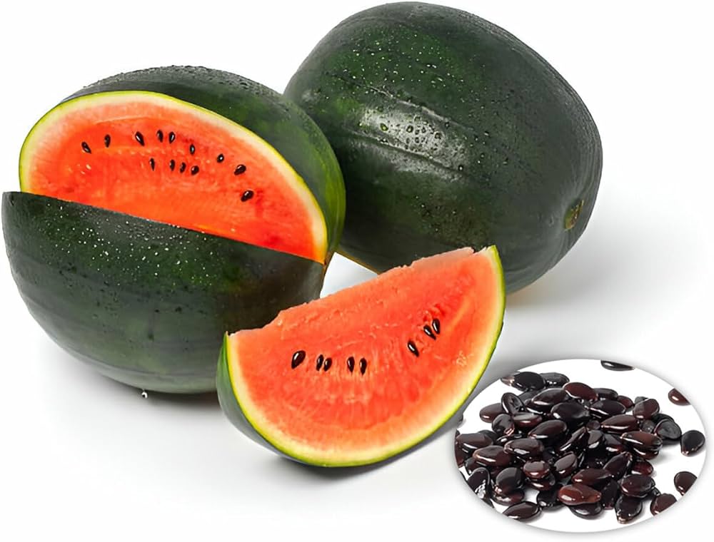 Densuke Watermelon Seeds for Planting | Grow Sweet and Juicy Watermelons at Home