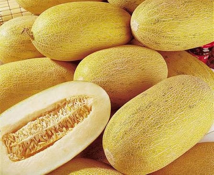 Hami Melon Seeds for Planting - Grow Sweet and Crisp Melons