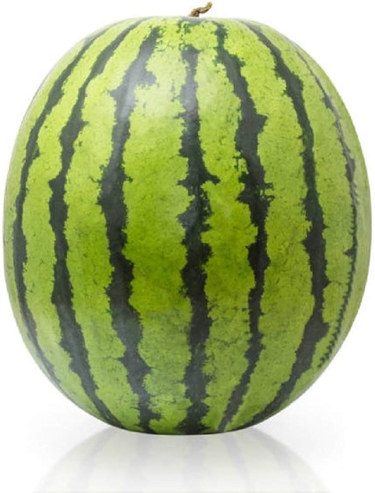 Florida Giant Watermelon Seeds for Planting - Ideal for Home Garden & Vegetable Patch