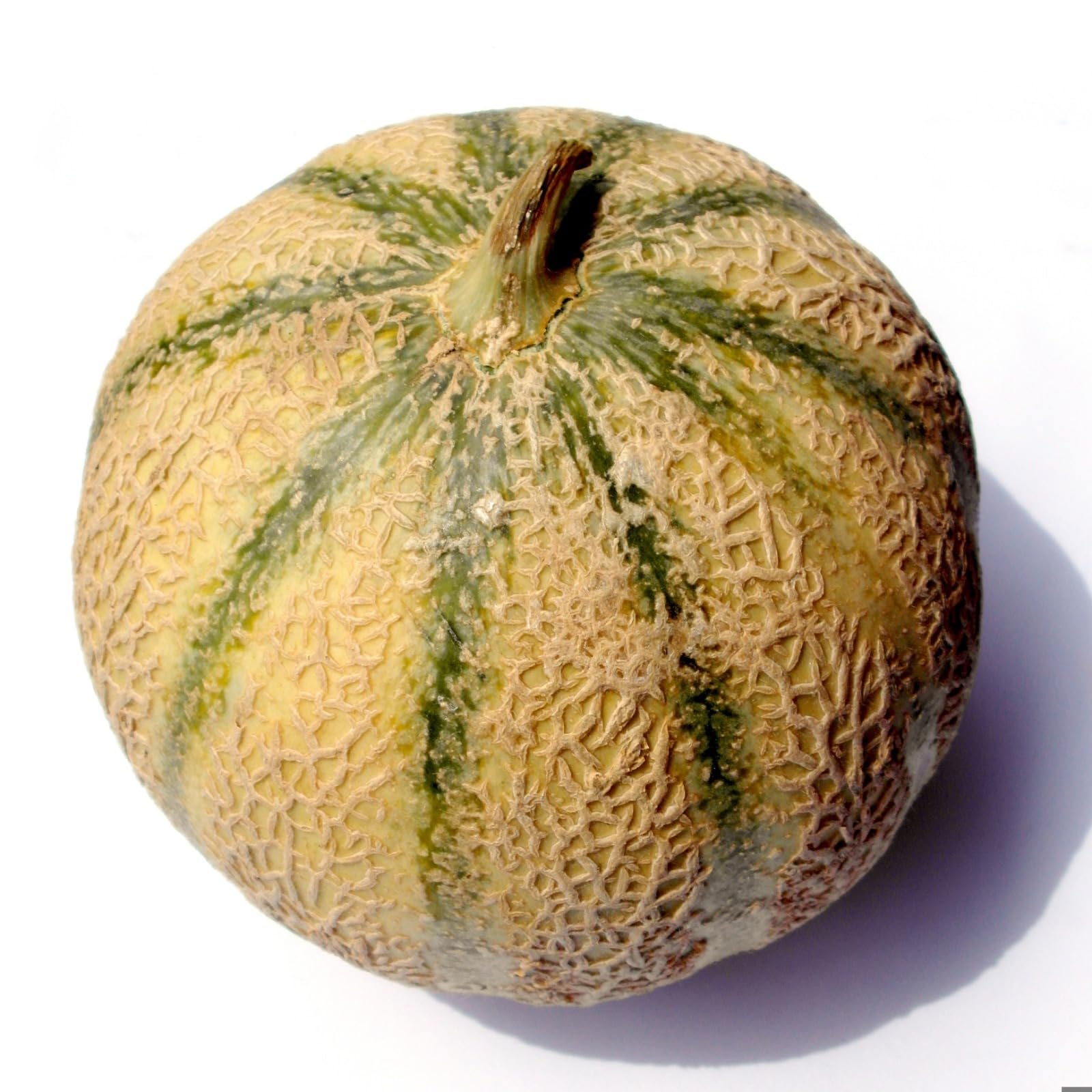 White Muskmelon Seeds Cucumis melo for Planting in Garden Bed and Summer Patch
