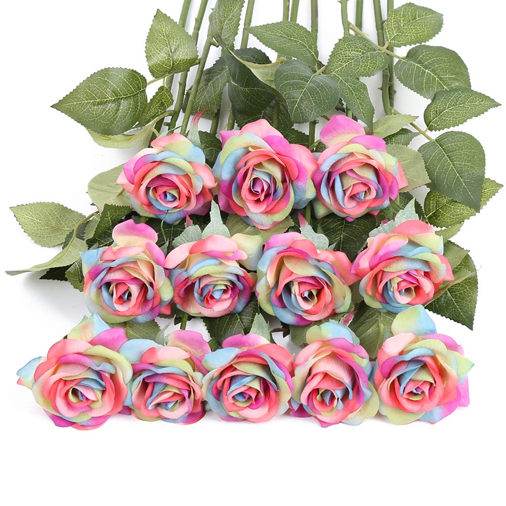 Pale Pink Rainbow Rose Flower Seeds for Planting Colorful Display Heirloom & GMO Free Seeds for Home Garden
 
 Sale
