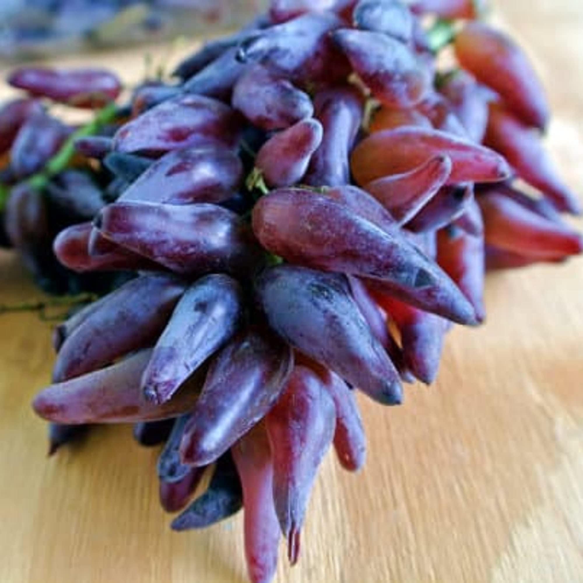 Finger Grape Seeds for Planting Vitis vinifera for home gardens and urban orchards