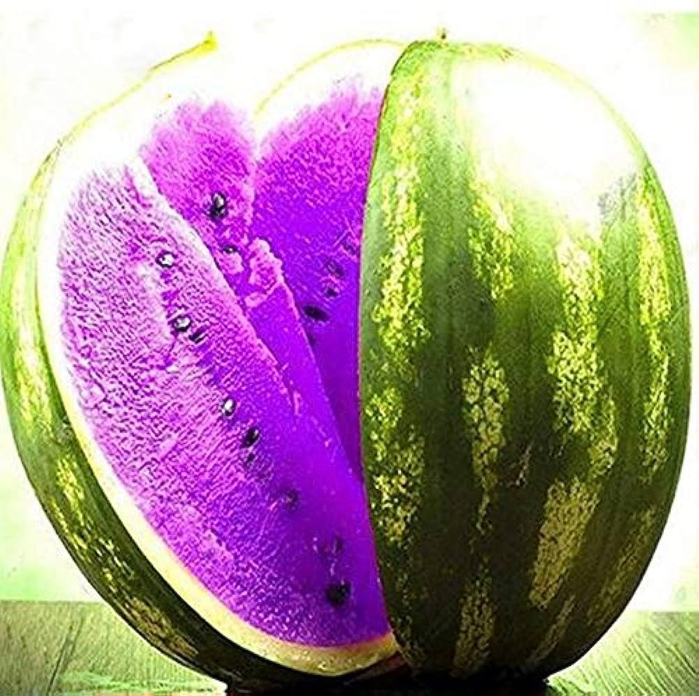 Purple Watermelon Seeds for Planting  Grow Delicious Fruit
