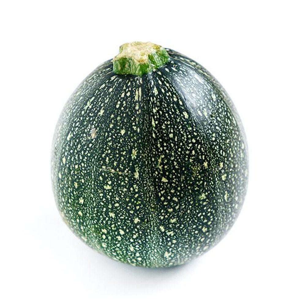 Round Zucchini Summer Squash Cucurbita pepo Seeds for Planting in Vegetable Patch