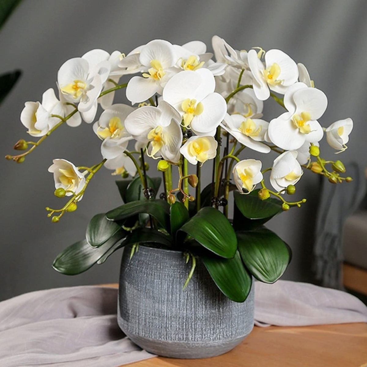 Phalaenopsis Yellow White Flower seeds for Planting - Bright Blooms, Heirloom & GMO Free Seeds for Home Garden
 
 Sale for planting in home garden.