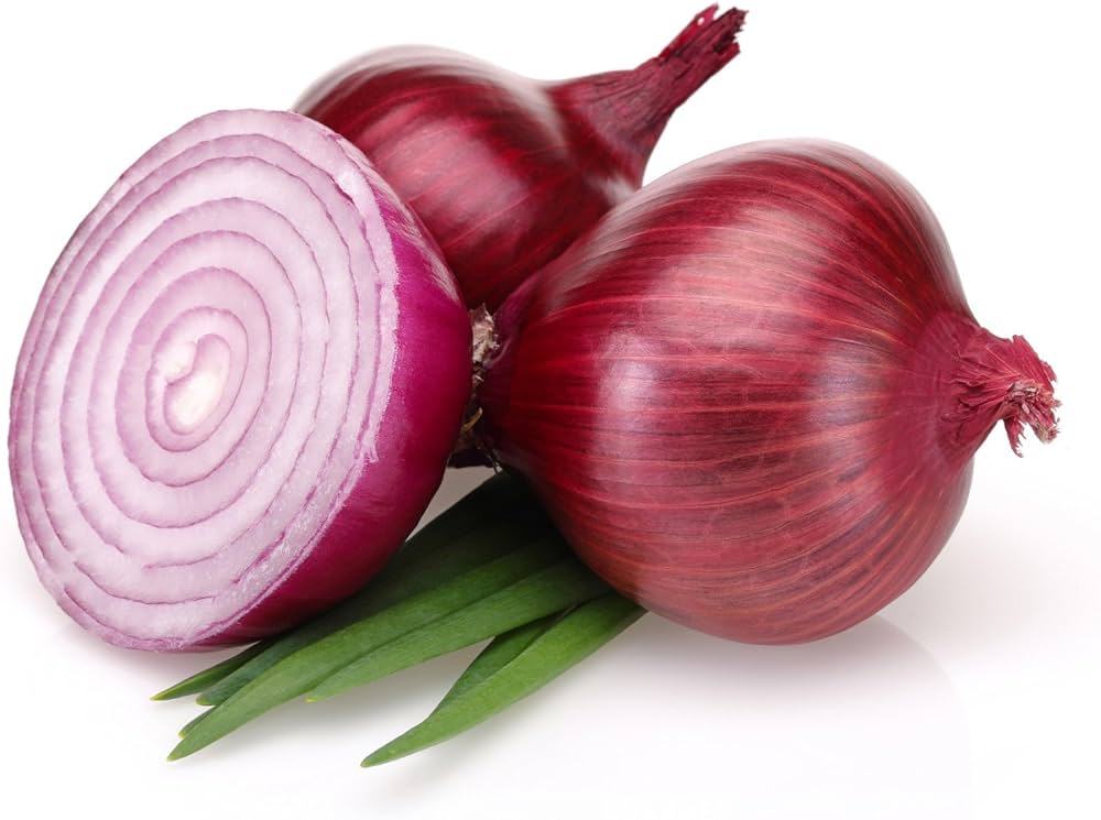 Burgundy Red Onion Seeds Allium cepa for Planting in Kitchen Garden and Raised Beds