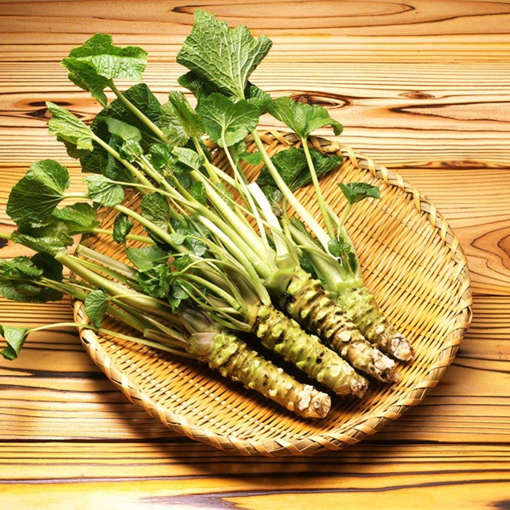 Green Horseradish Vegetable Seeds for Planting
