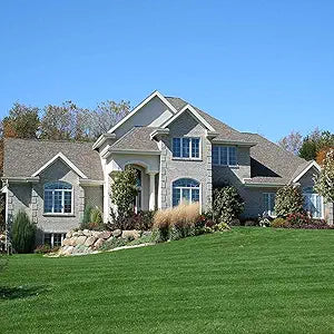High Fescue Grass Seeds for Resilient, Low-Maintenance Grass