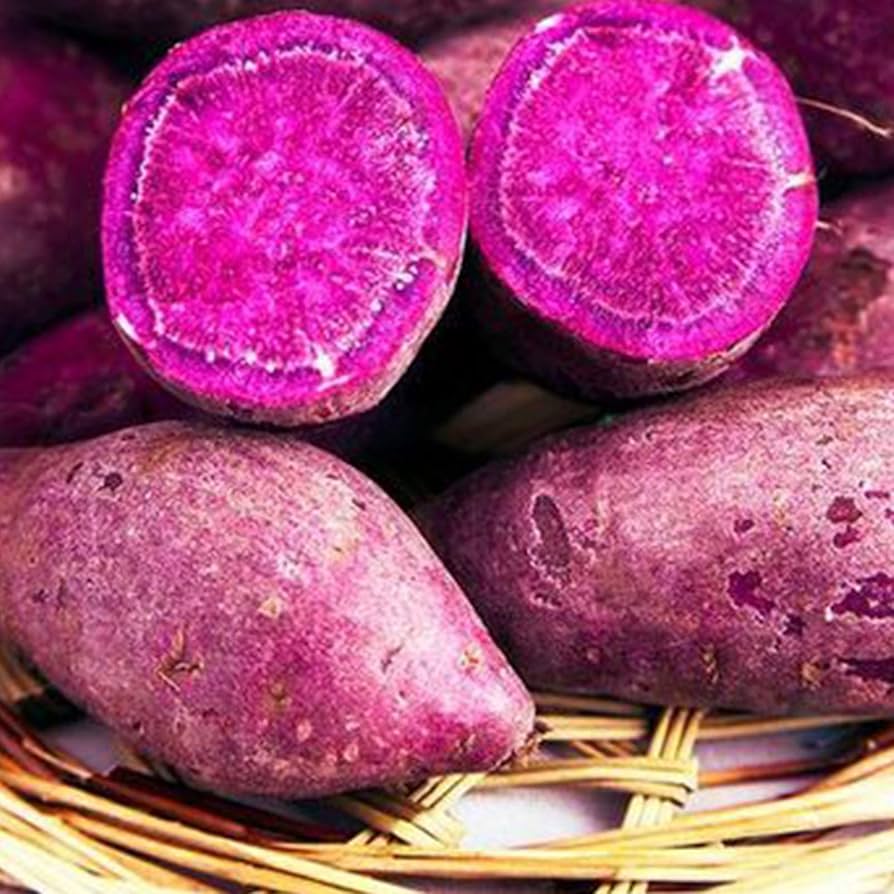 Purple and Yellow Sweet Potato Seed Pieces