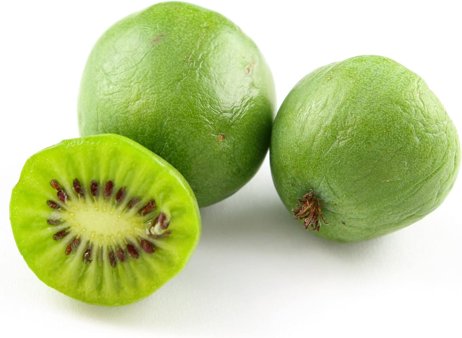Hardy Kiwi Seeds Actinidia Arguta Perennial Gmo Free Fragrant Showy Fruit & Berries Climber