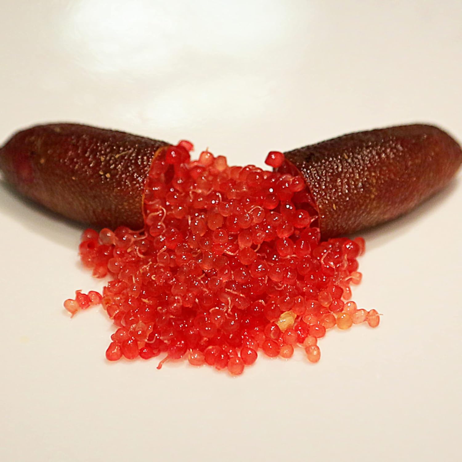 Finger Lime Seeds Citrus Australasica Caviar Used As Addition To Salads Garden Outdoor Fruit Best