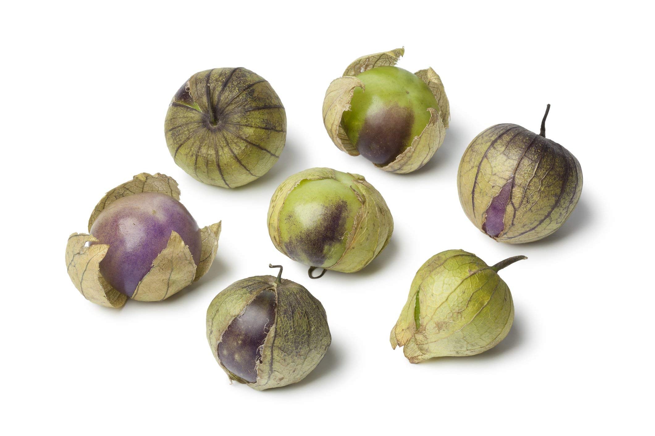 Milpero Lila Tomatillo Seeds for Planting vegetable patch