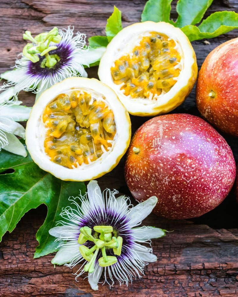 Plant Dark Purple Passion Fruit Seeds  Premium Seeds for Gardening