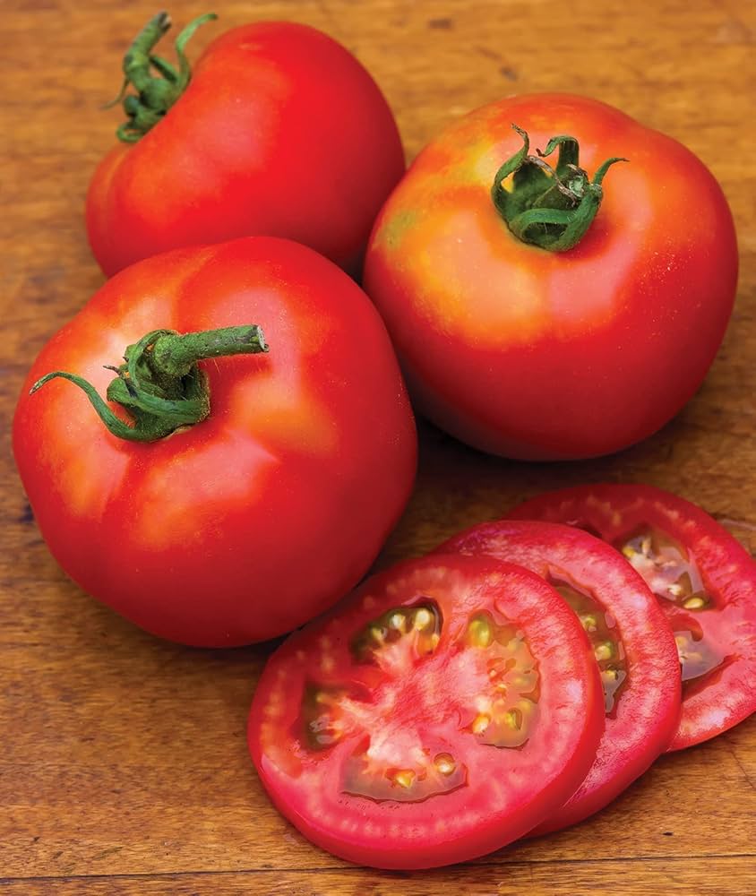 Evergrowseeds Moonglow Tomato Solanum lycopersicum flower seeds for planting in vegetable patch, 20 seed packets visible in image