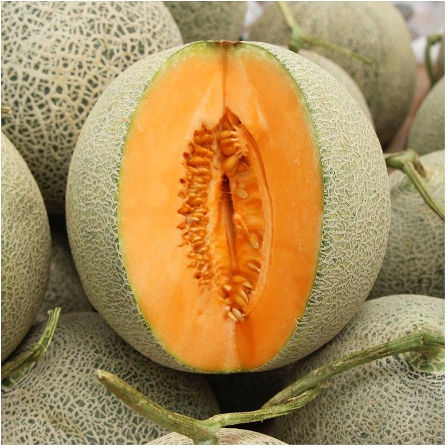 Delicious 51 Melon Cucumis melo Seeds for Planting - Ideal for Vegetable Patch & Urban Garden
