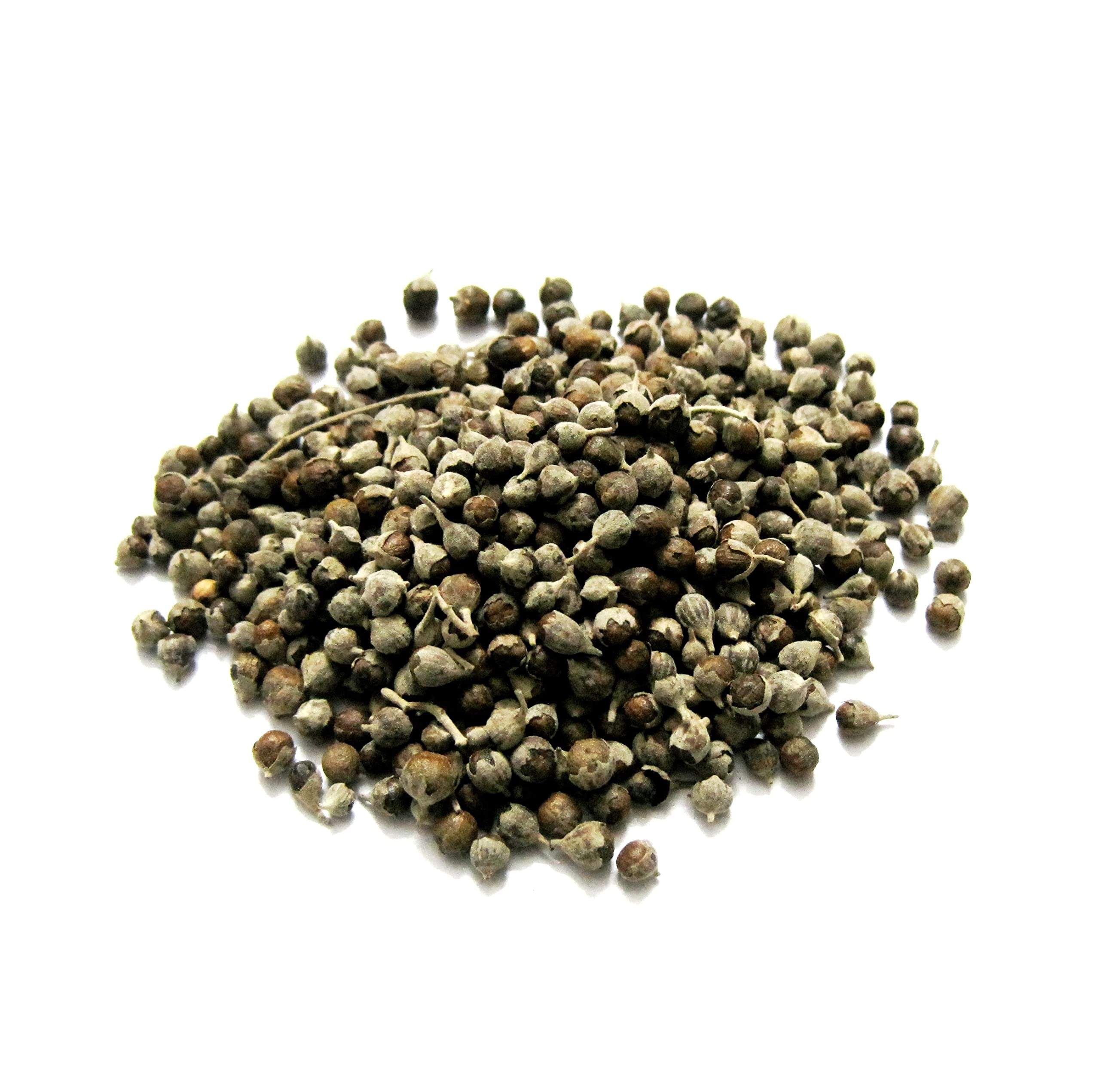 Brown Nirgundi Seeds Planting Guide