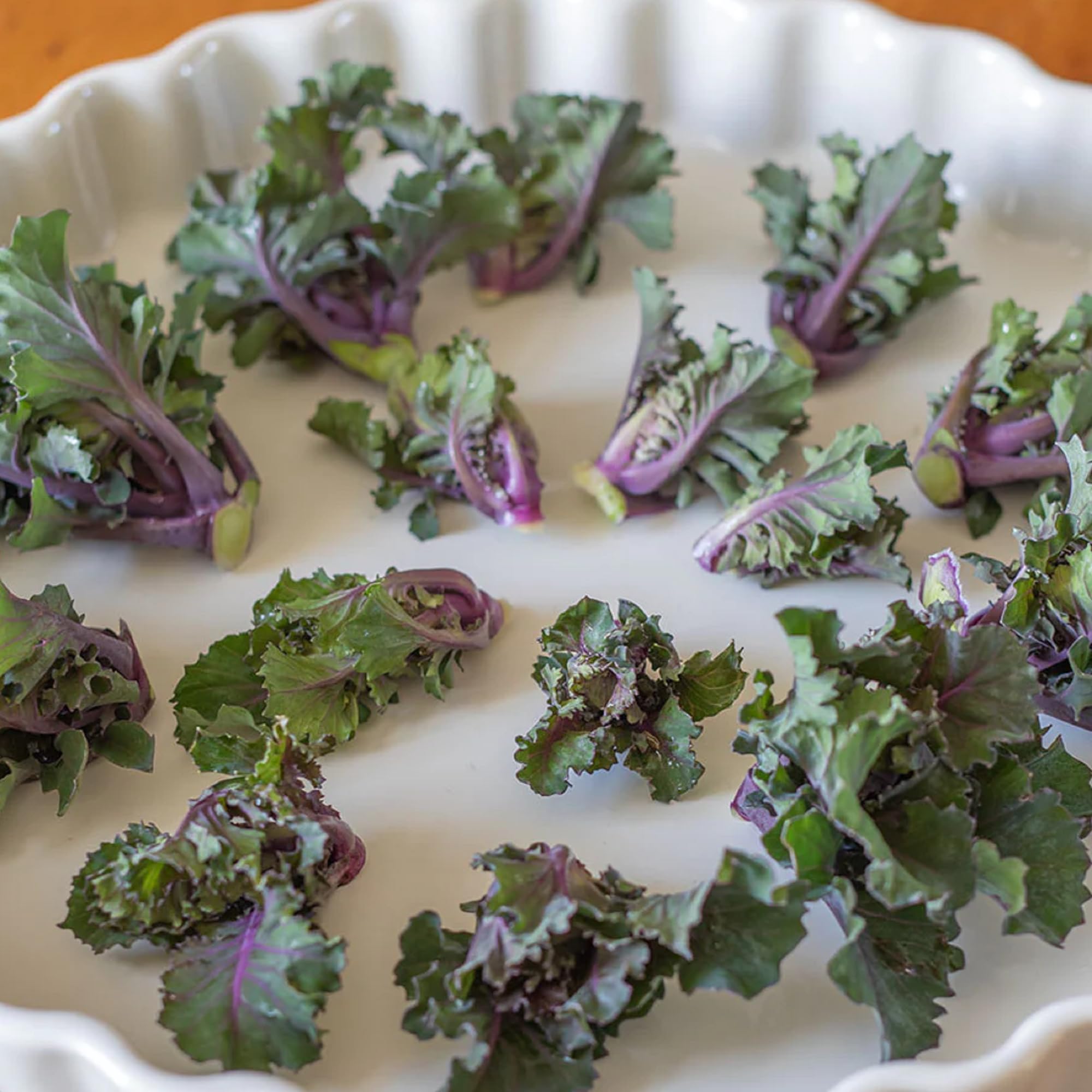 Autumn Star Hybrid Kalettes Seeds for Planting Brassica oleracea for vegetable patches and winter gardens