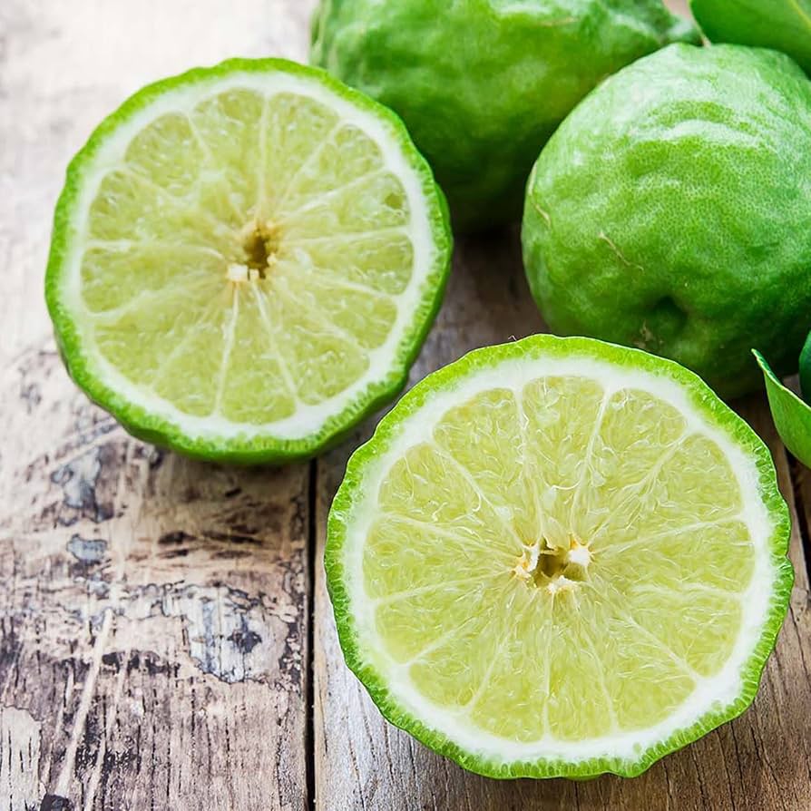 Evergrowseeds kaffir lime citrus hystrix fruit seeds for planting, showing 20 seed packets on a white background.