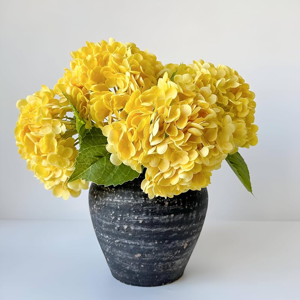 Hydrangea Flower seeds for Planting - Hardy Variety, Heirloom & GMO Free Seeds for Home Garden
