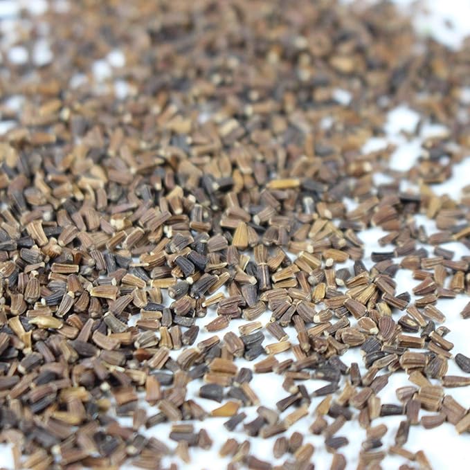 Chrysanthemum Flower Chrysanthemum morifolium Seeds for Planting in Flower Bed & Garden