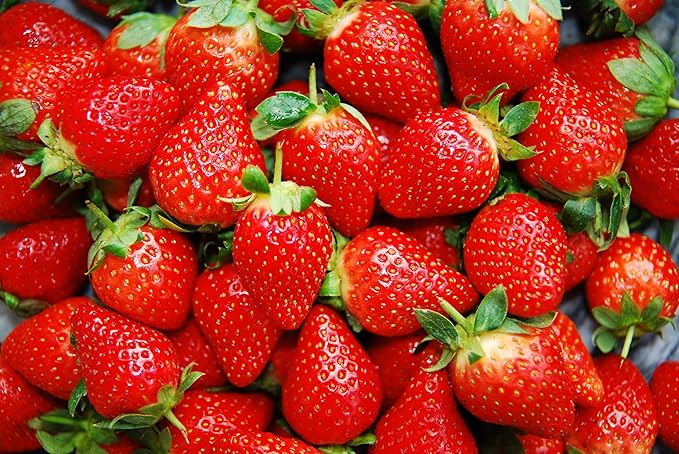Climbing Strawberry Fragaria x ananassa Seeds for Planting in Vegetable Patch & Urban Garden