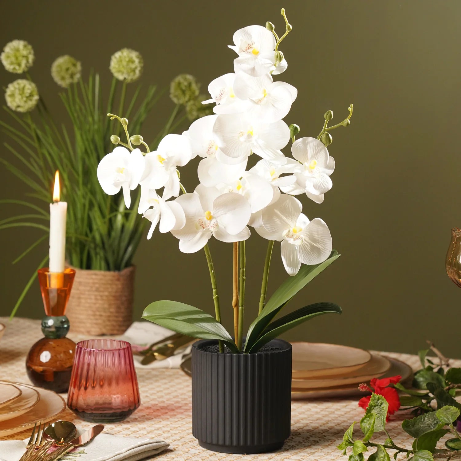 Phalaenopsis Yellow White Flower seeds for Planting - Bright Blooms, Heirloom & GMO Free Seeds for Home Garden